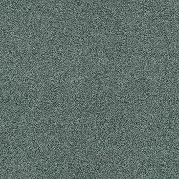 Interface Polichrome Stipple - Dolphin 4265002