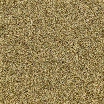 Interface Touch & Tones II 103 - Gold 4176058