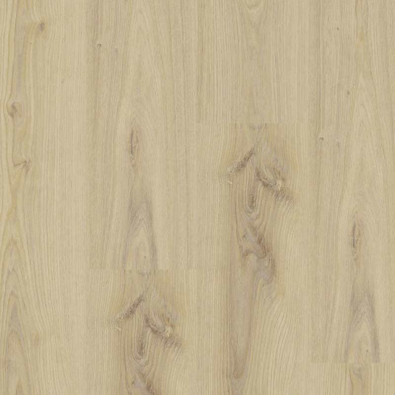 Tarkett Essence 55 Gluedown Primary Oak Beige 260053003