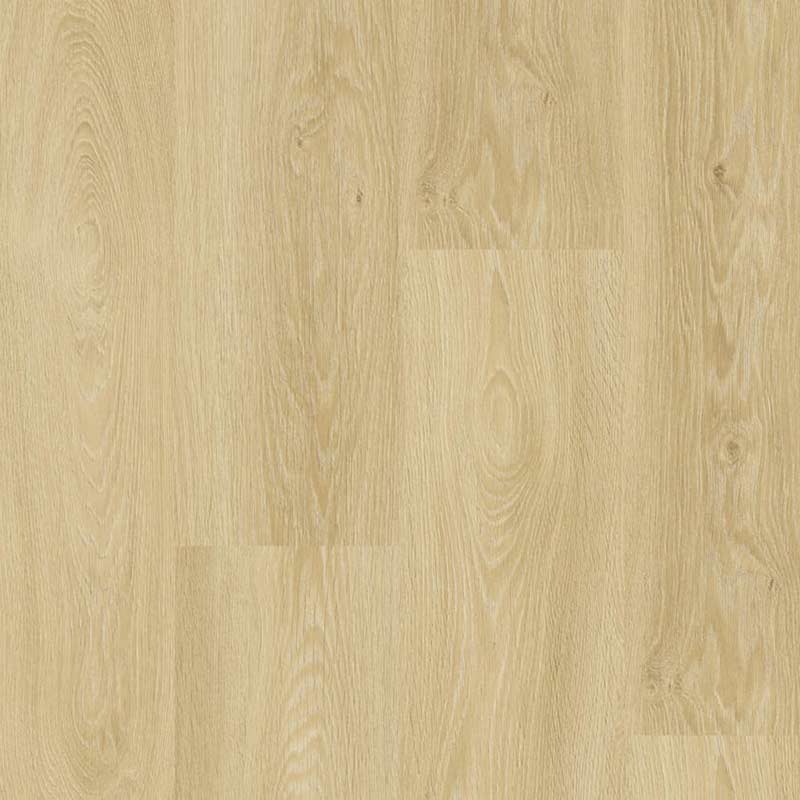 Tarkett Essence 55 Gluedown Cool Oak 260053001