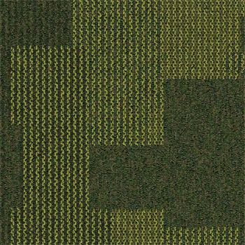 CLEARANCE 16 x Tiles Interface Transformation - Pasture