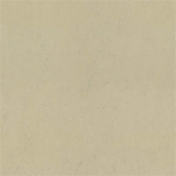 Forbo Marmoleum Solid Concrete - Titan 3761 