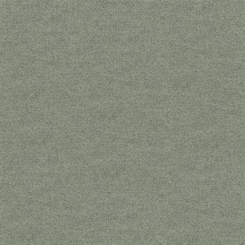 Interface Polichrome Solid - Silk Grey 4266005