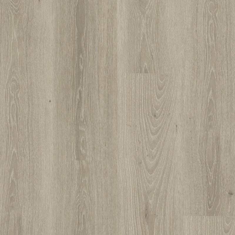 Tarkett Essence 55 Gluedown Tribe Oak Grey 260053008