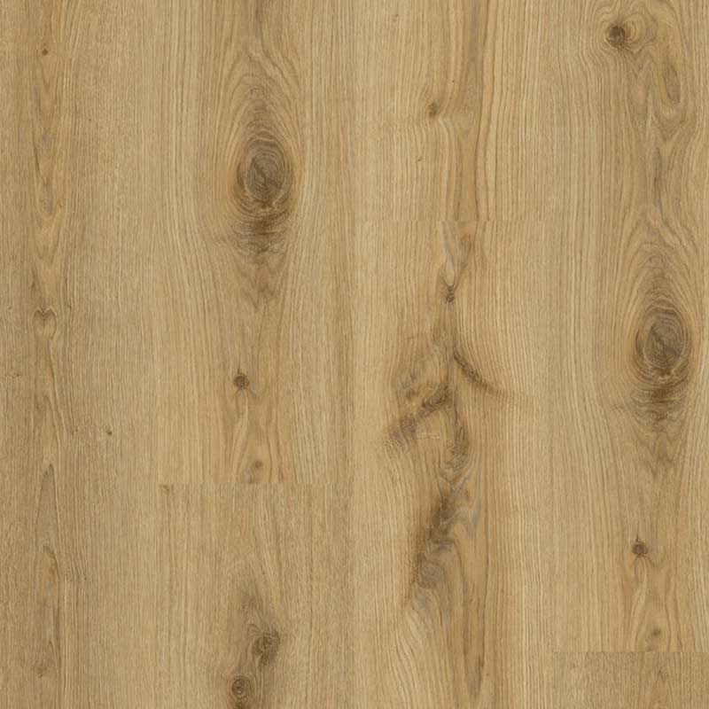 Tarkett Essence 55 Gluedown Primary Oak Natural 260053004