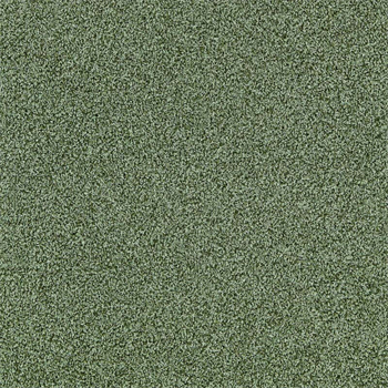 Interface Touch & Tones II 102 - Olive 4175078