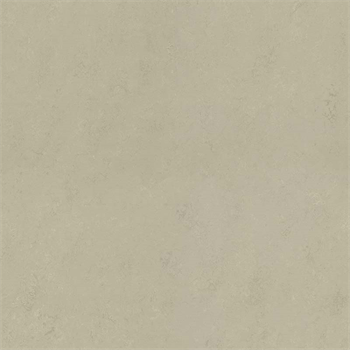 Forbo Marmoleum Solid Concrete - Shale 3758 