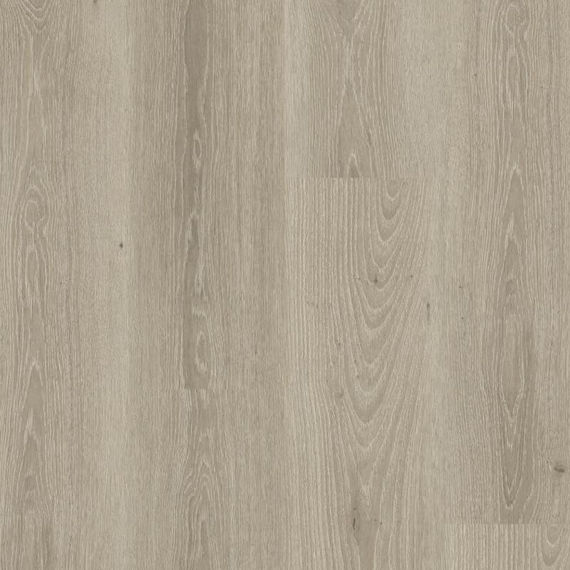 Tarkett Essence 30 Gluedown Tribe Oak Grey 260055008