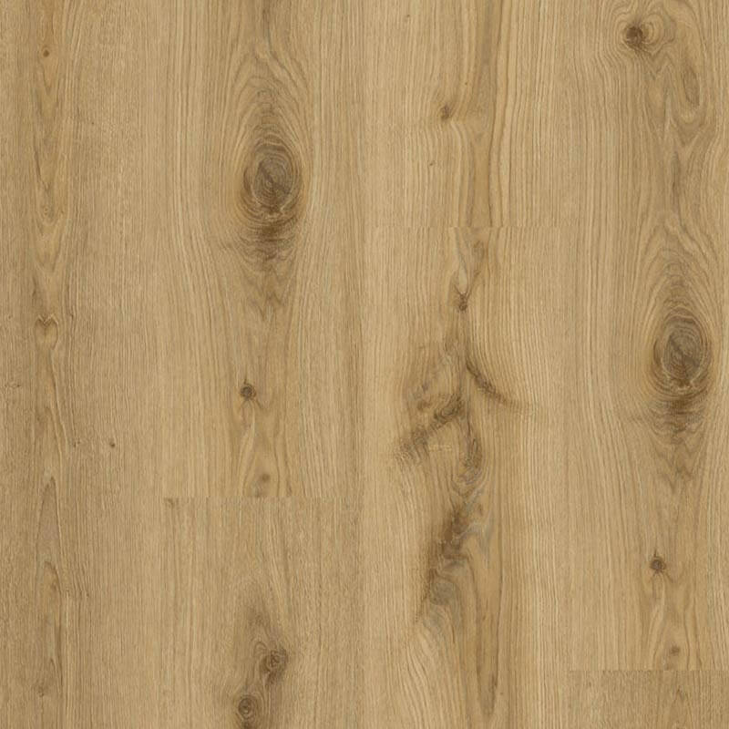 Tarkett Essence 30 Gluedown Primary Oak Natural 260055004