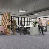 Nouveau Apollo NxtGen