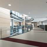 Nora Noraplan Sentica 2mm