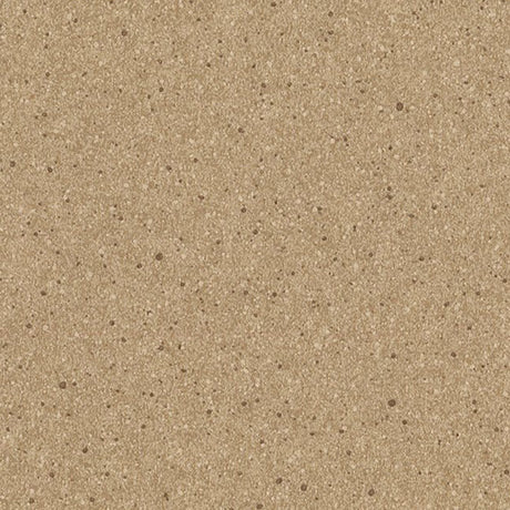 Altro Orchestra Oboe Sheet Vinyl - DCTUK