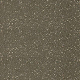 Altro Walkway Savannah Sheet Vinyl - DCTUK