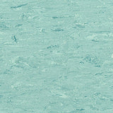 Polyflor 2000 PUR Willowbank Sheet Vinyl - DCTUK
