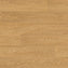 Polyflor Forest FX PUR Classic Oak 3100 Sheet Vinyl - DCTUK