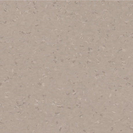 Tarkett iQ Natural Cold Beige 0840 Sheet Vinyl - DCTUK