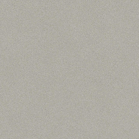Tarkett Ruby 70 Nature Cold Grey 25145043 Sheet Vinyl - DCTUK