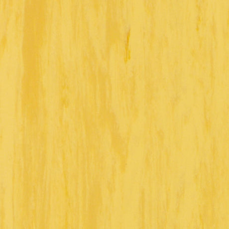 Tarkett Standard Plus 2.0 Gold 0916 Sheet Vinyl - DCTUK