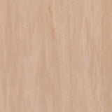 Tarkett Standard Plus 2.0 Sand Medium 0914 Sheet Vinyl - DCTUK